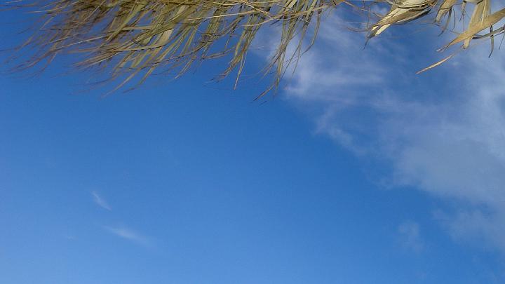 Dominicaanse republiek 2004-62.jpg